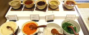 Les condiments japonais